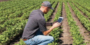 Logiciel de gestion agricole au Maroc