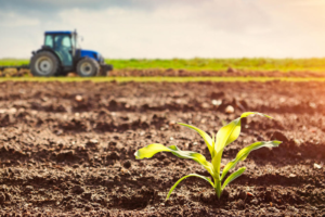 Logiciel de Gestion Agricole au Maroc