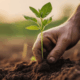logiciel de gestion agricole ebtikarweb