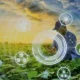 logiciel agricole au maroc