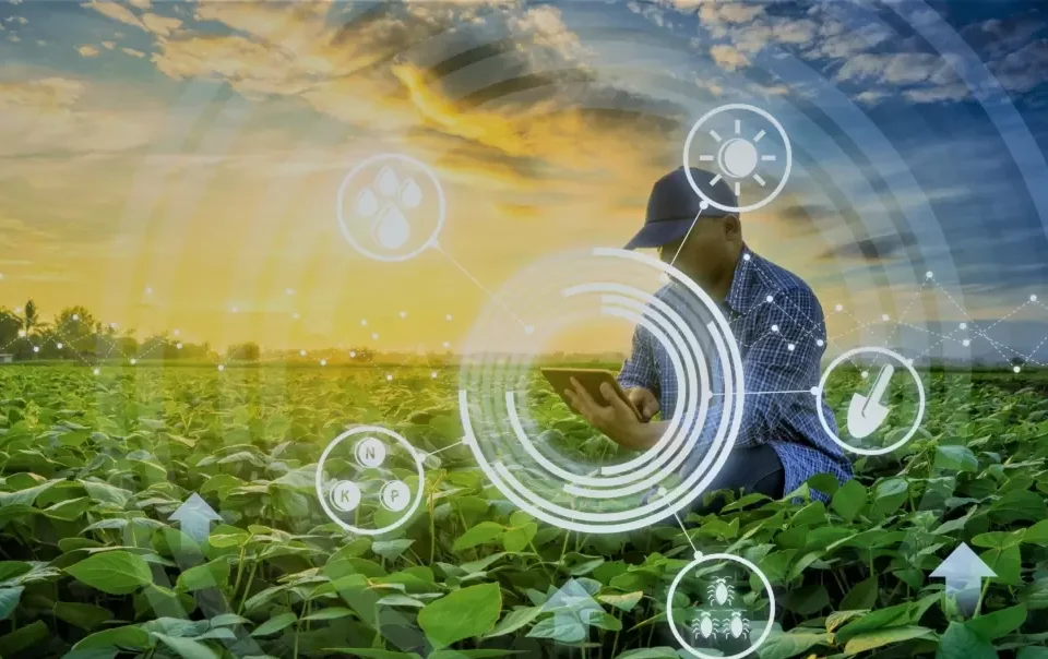 logiciel agricole au maroc