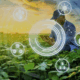 logiciel de agricole maroc